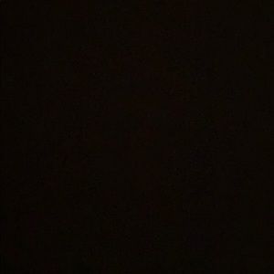 Meet your Posher, Leroy